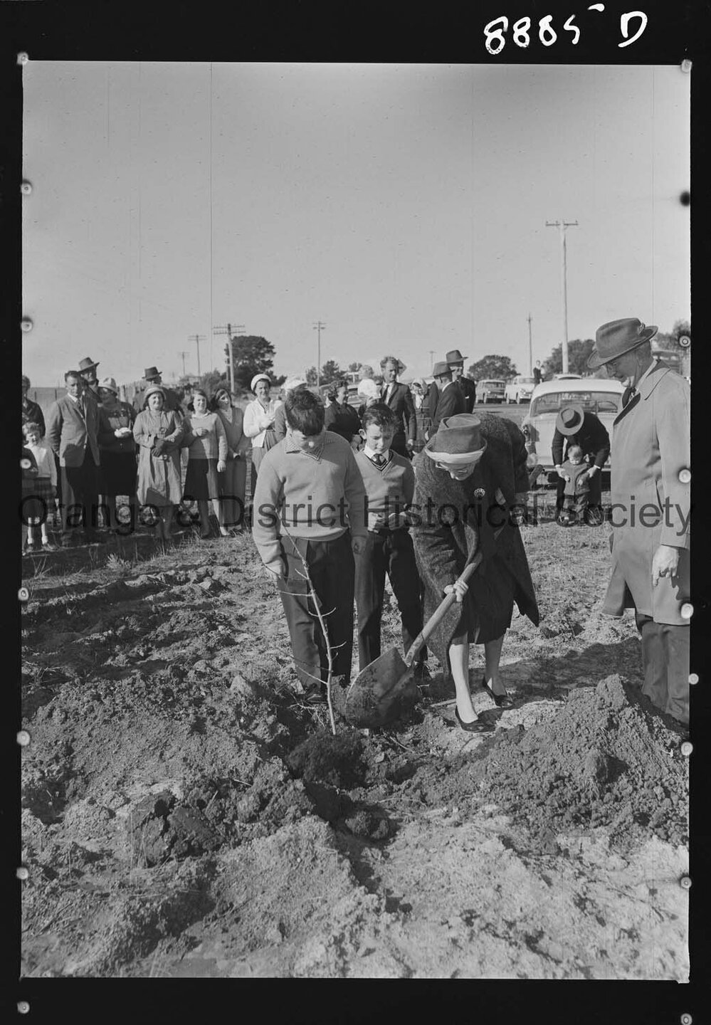 Tree planting at Nashdale