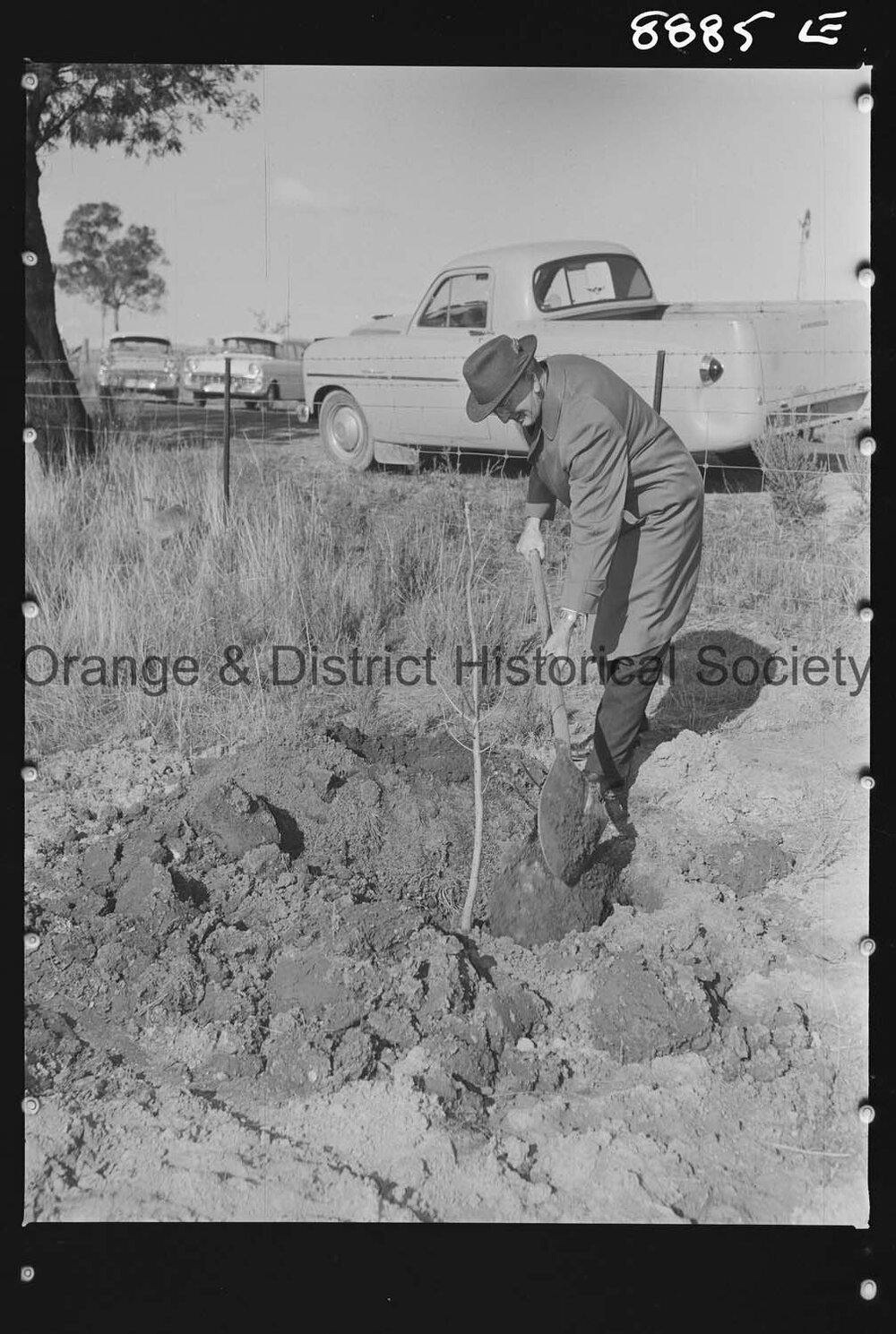 Tree planting at Nashdale