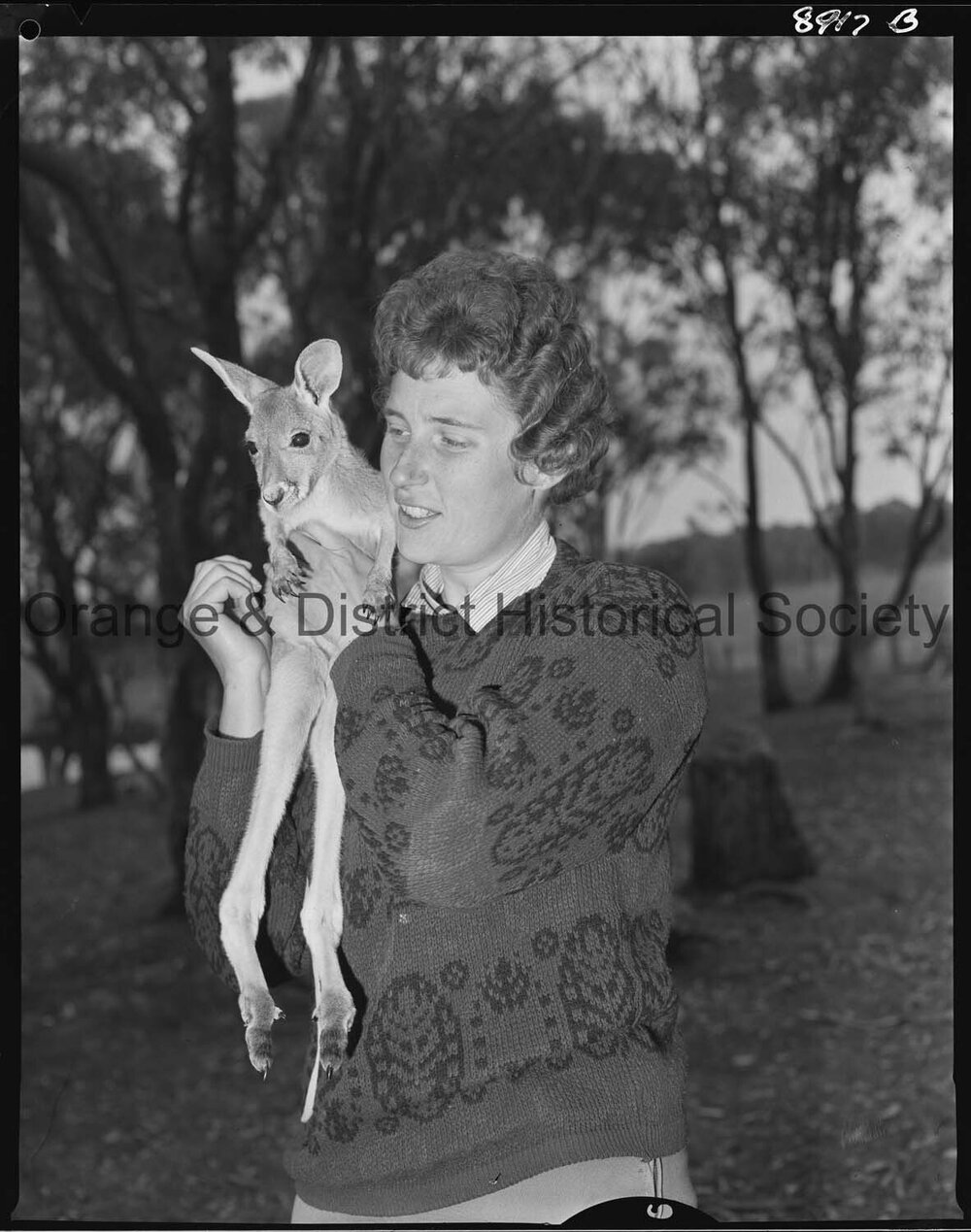 Canberra campers, Sophie Montgomery and baby kangaroo