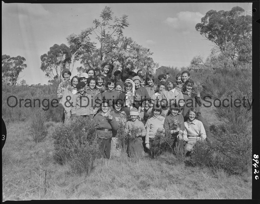 Visiting Guides among the wattles