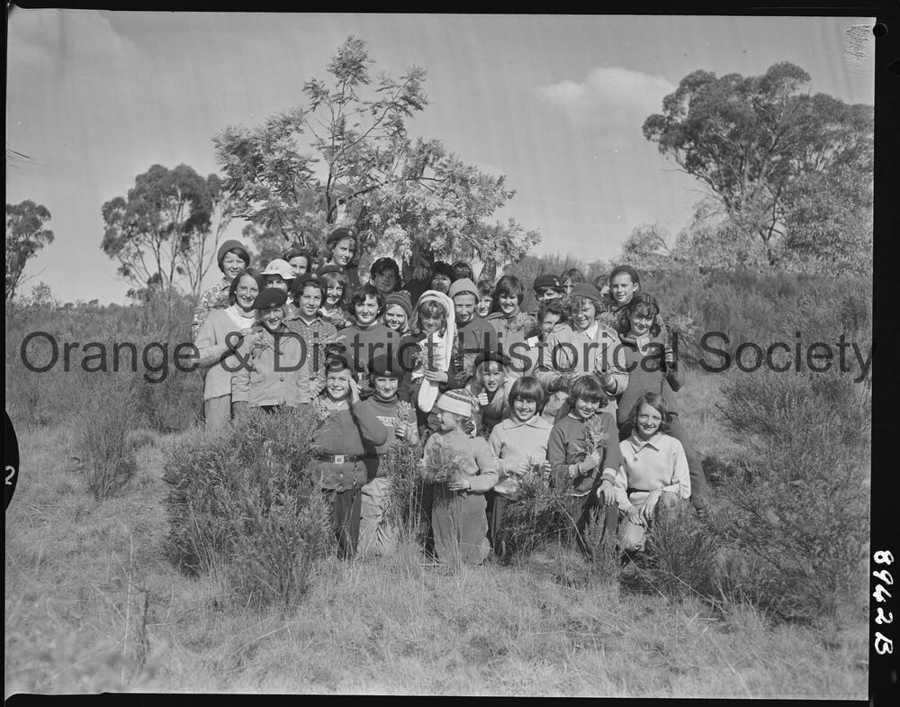 Visiting Guides among the wattles