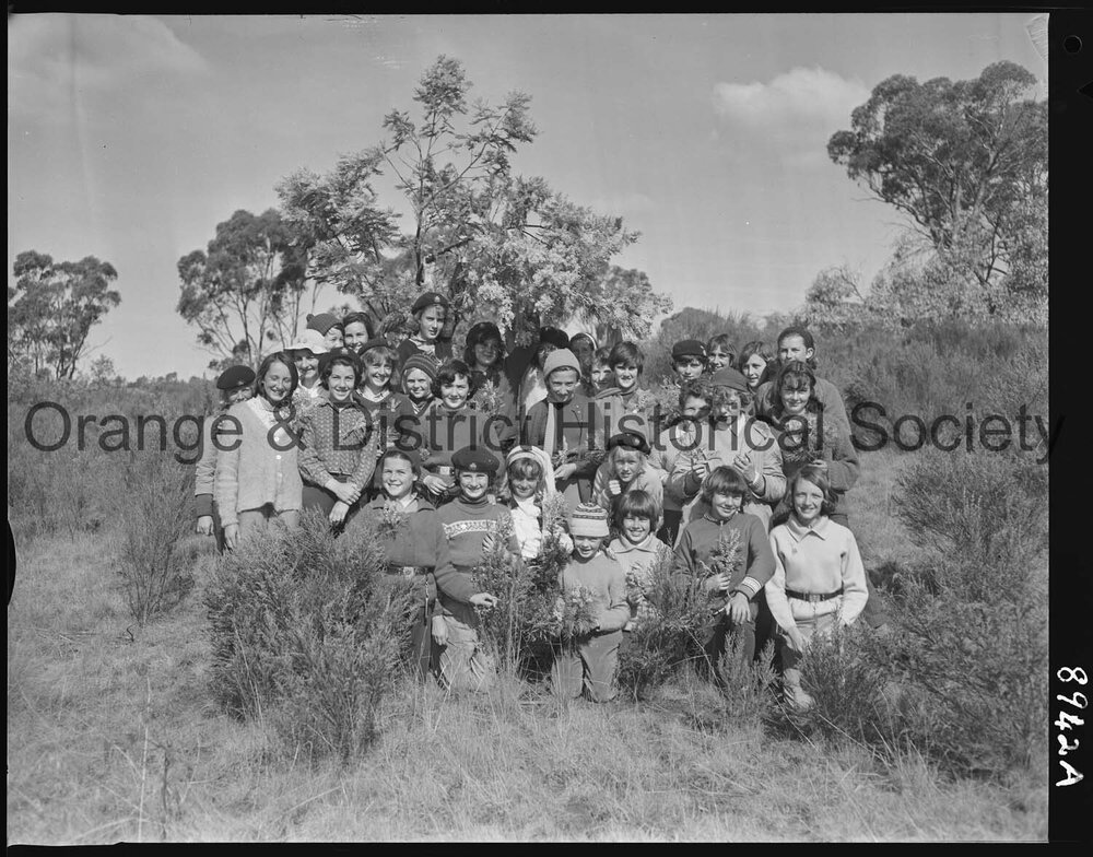 Visiting Guides among the wattles