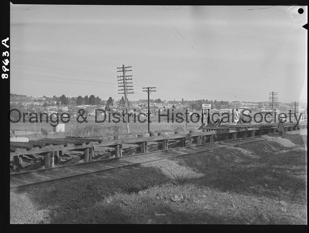 Showground railway siding