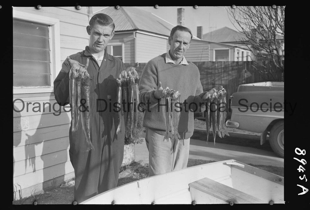 Fish, Ridley