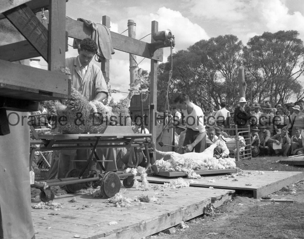 Field Days demonstrations &amp; prizegiving