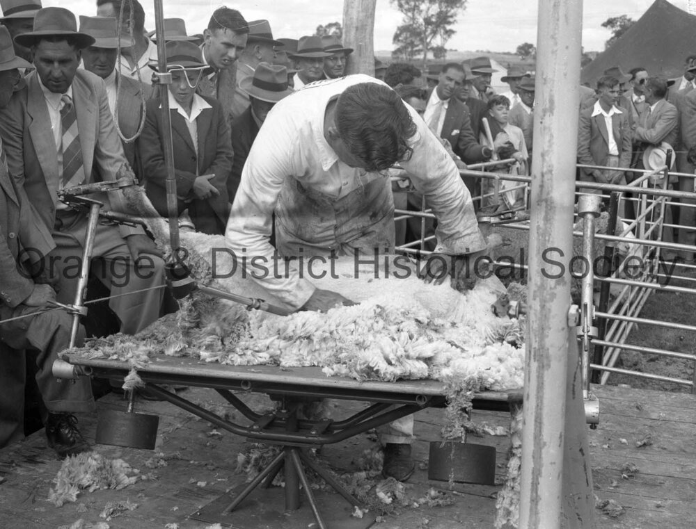 Field Days demonstrations &amp; prizegiving