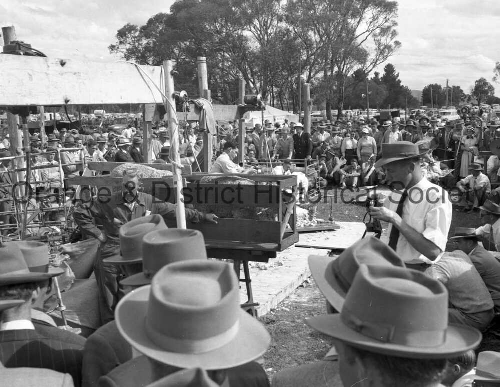 Field Days demonstrations &amp; prizegiving