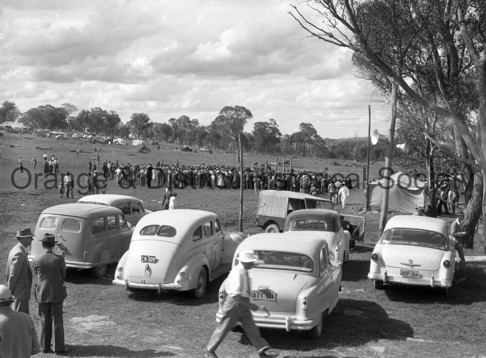 Field Days