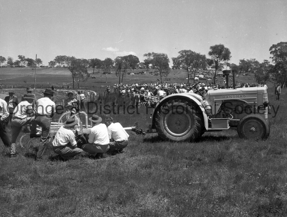 Field Days