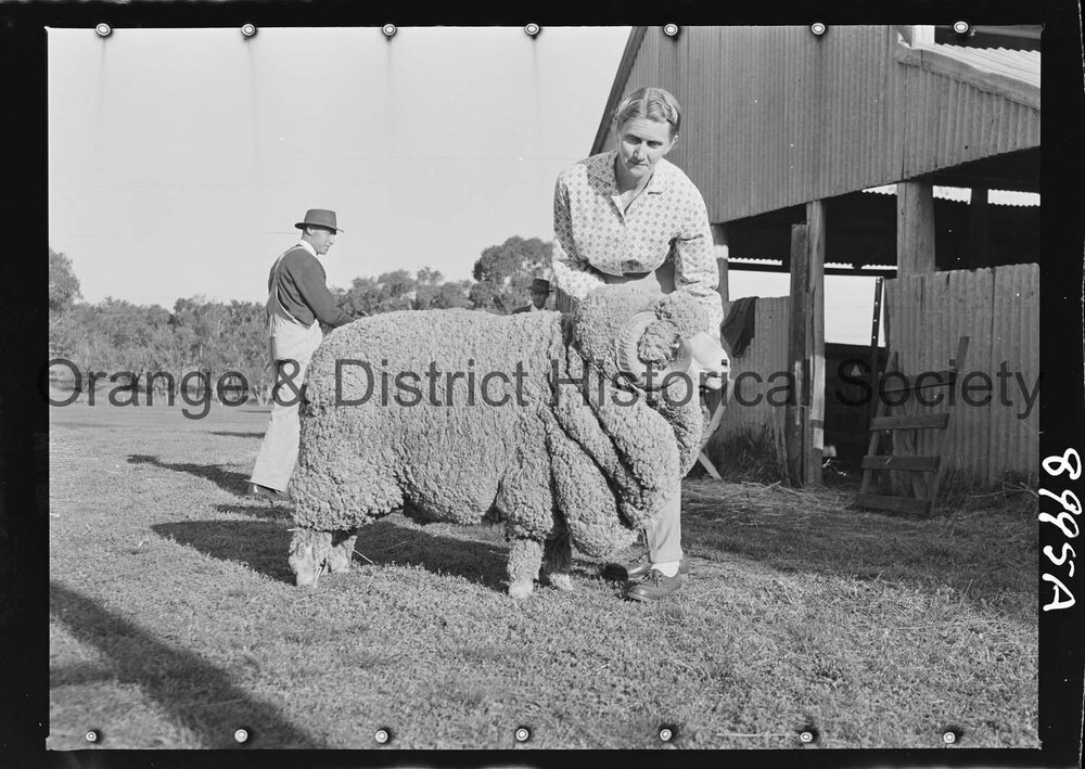 Molong Show