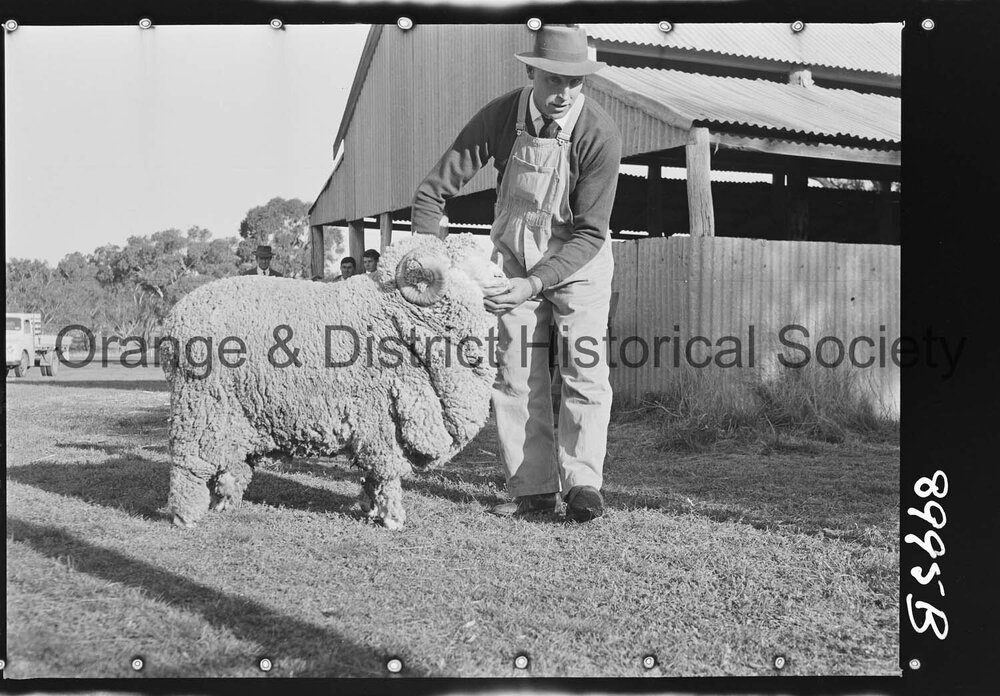 Molong Show