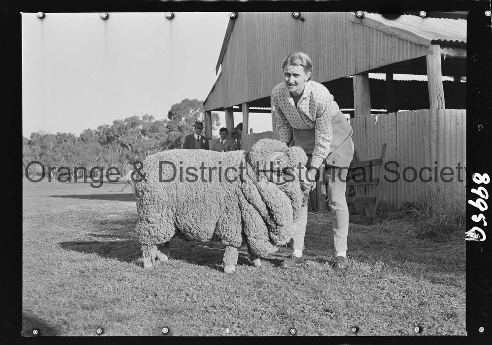Molong Show