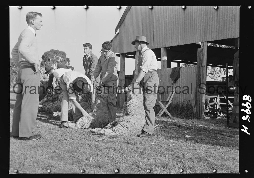 Molong Show