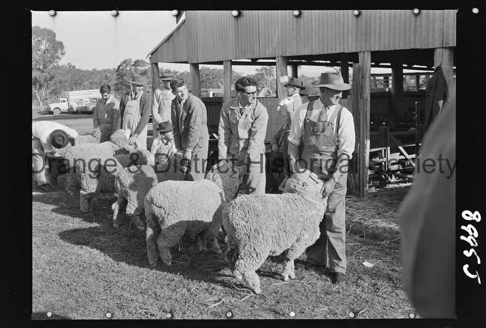 Molong Show
