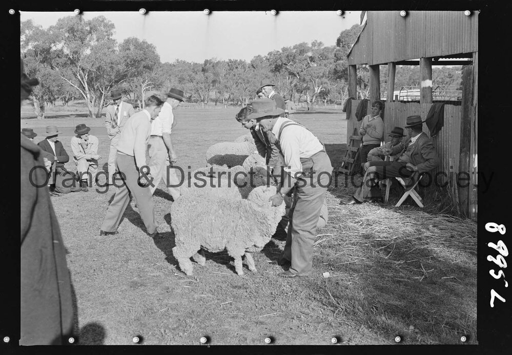 Molong Show