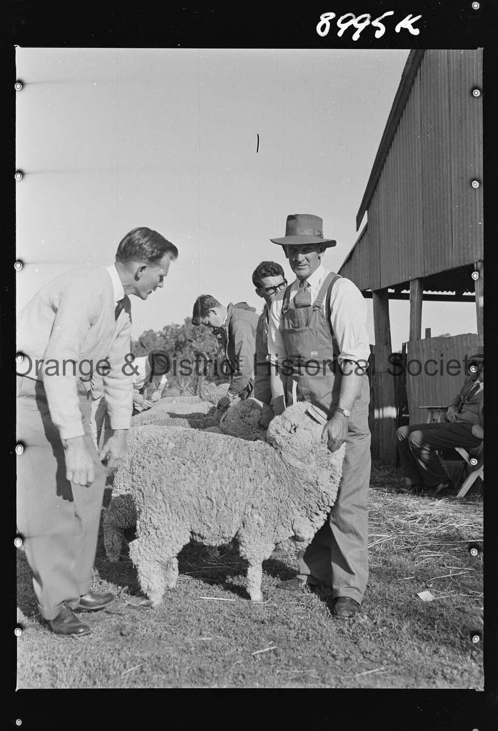Molong Show