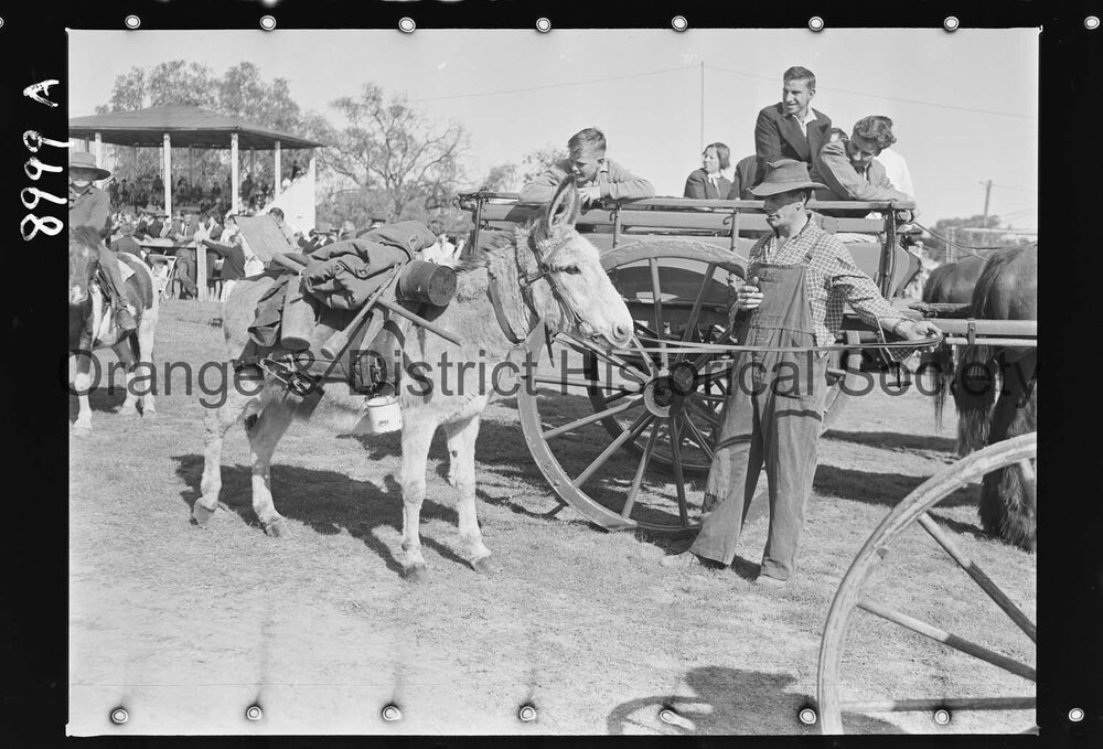 Molong Show