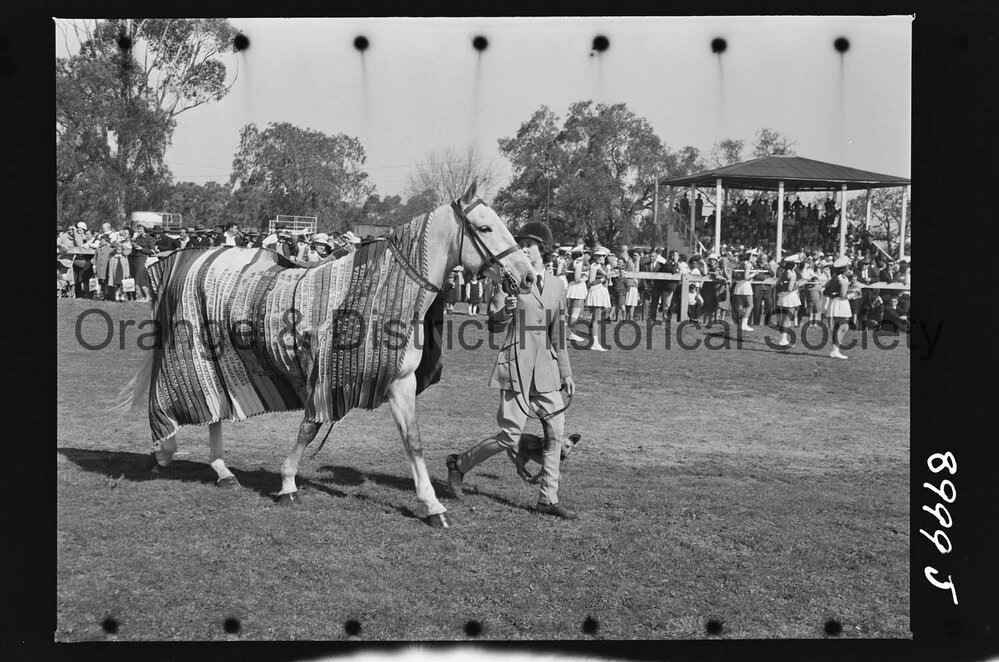 Molong Show