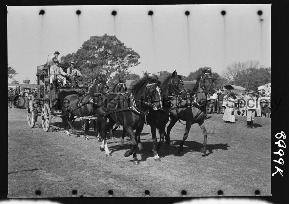 Molong Show