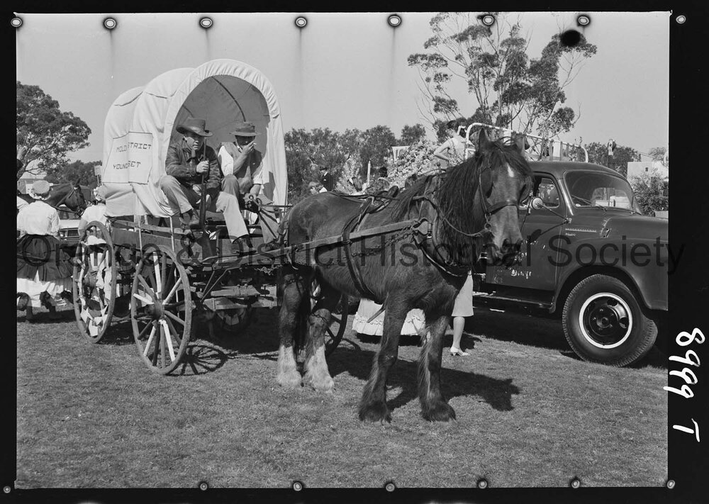 Molong Show