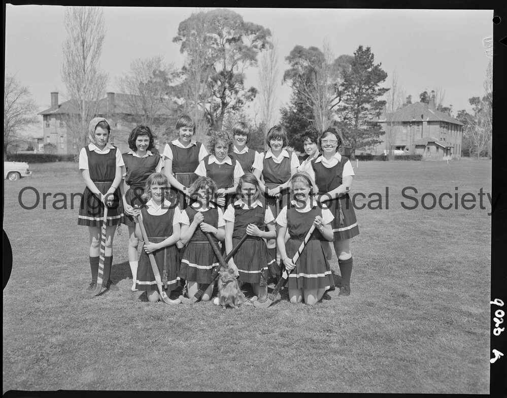 Hockey teams
