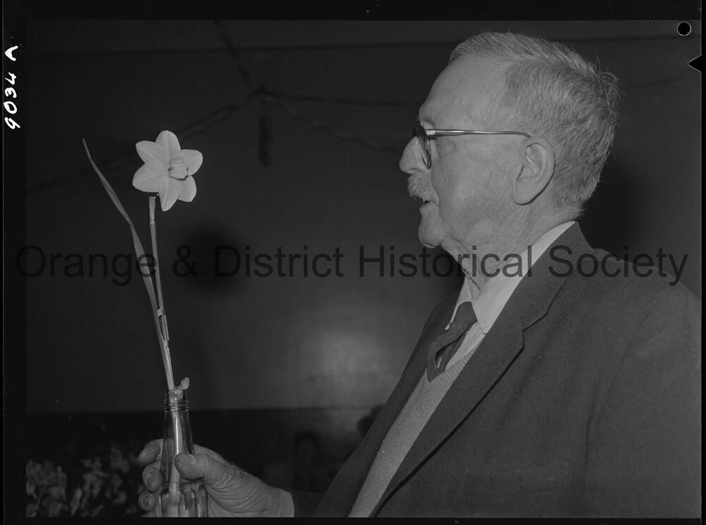 Spring flower show