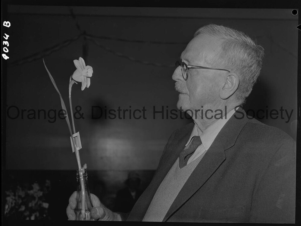 Spring flower show
