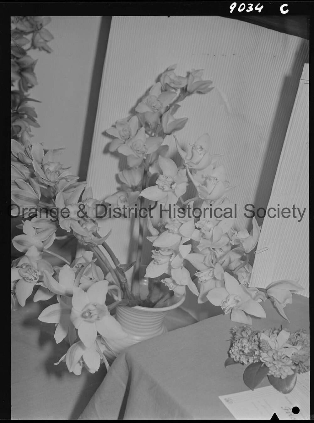 Spring flower show