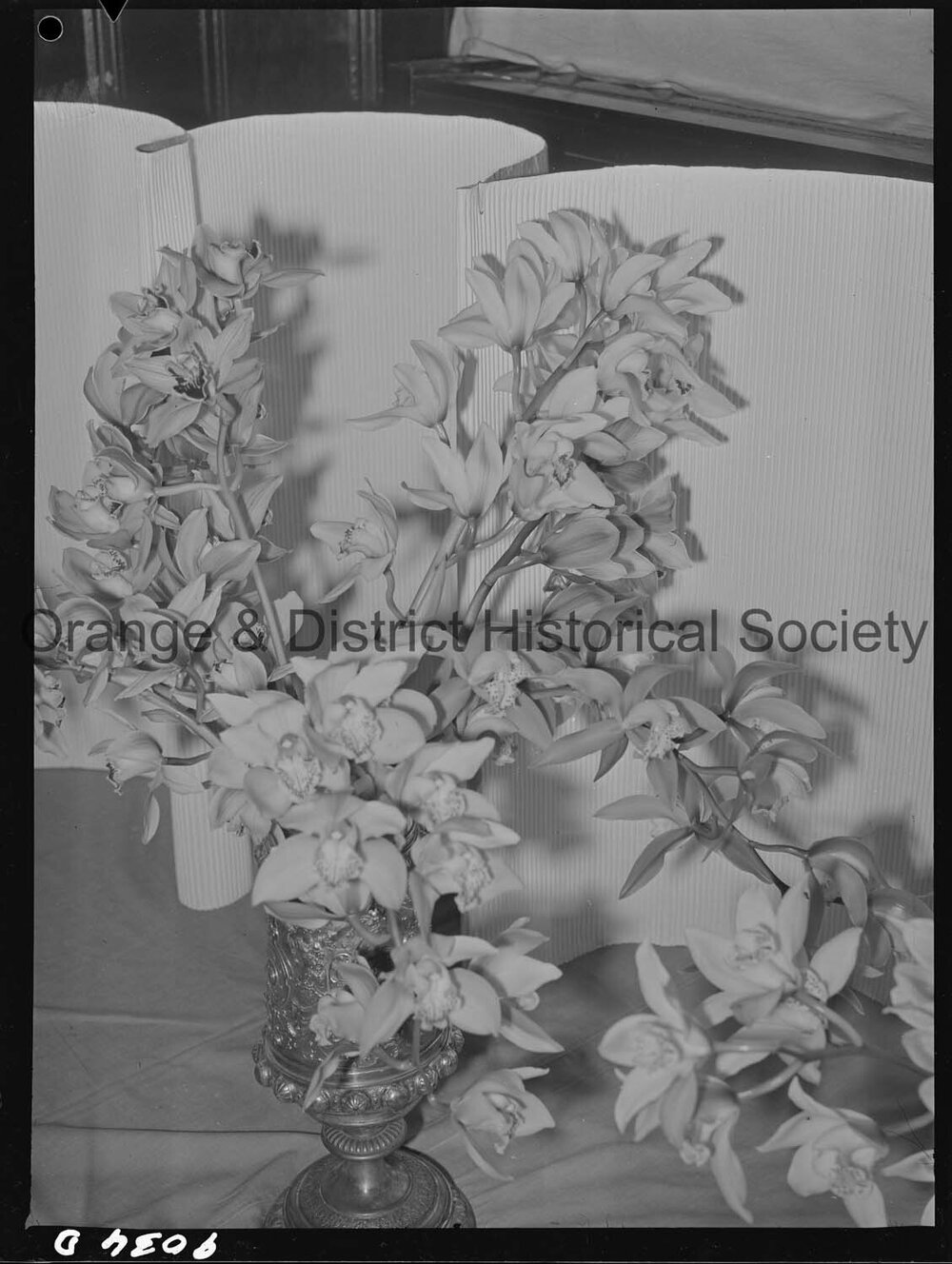 Spring flower show