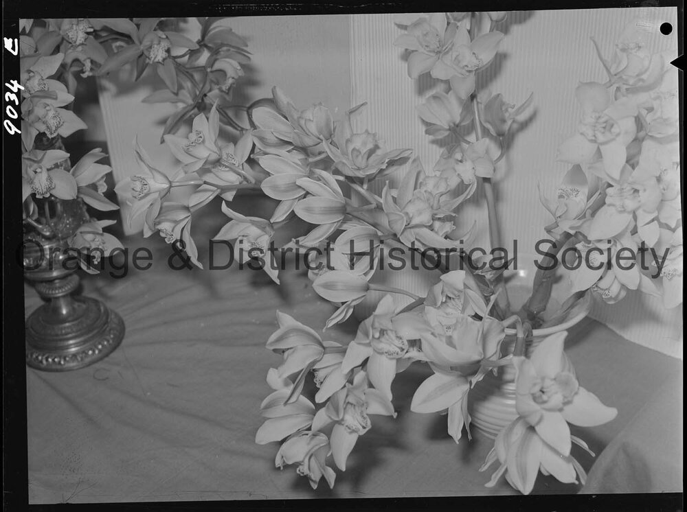 Spring flower show