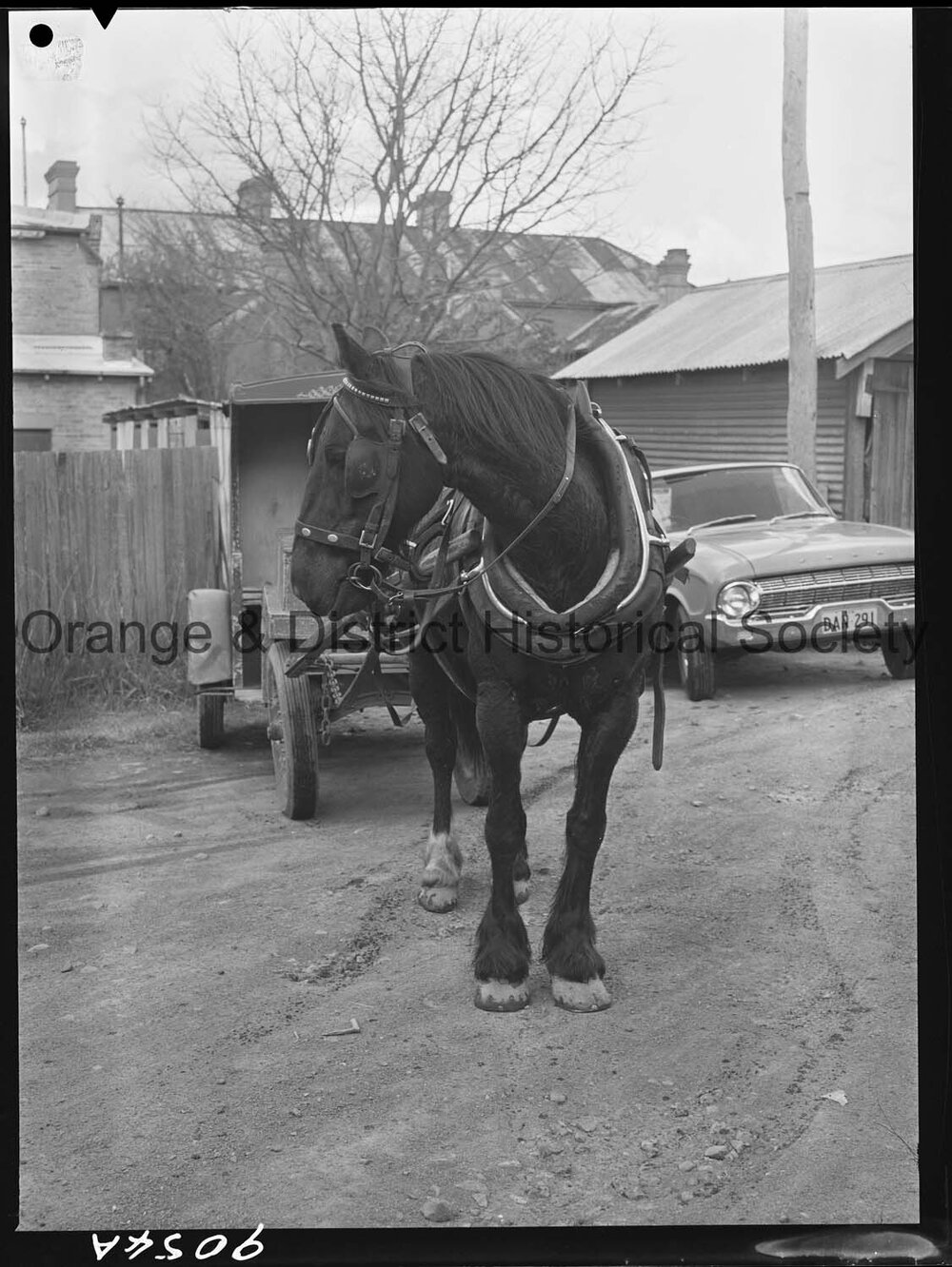 Horse and cart deliveries