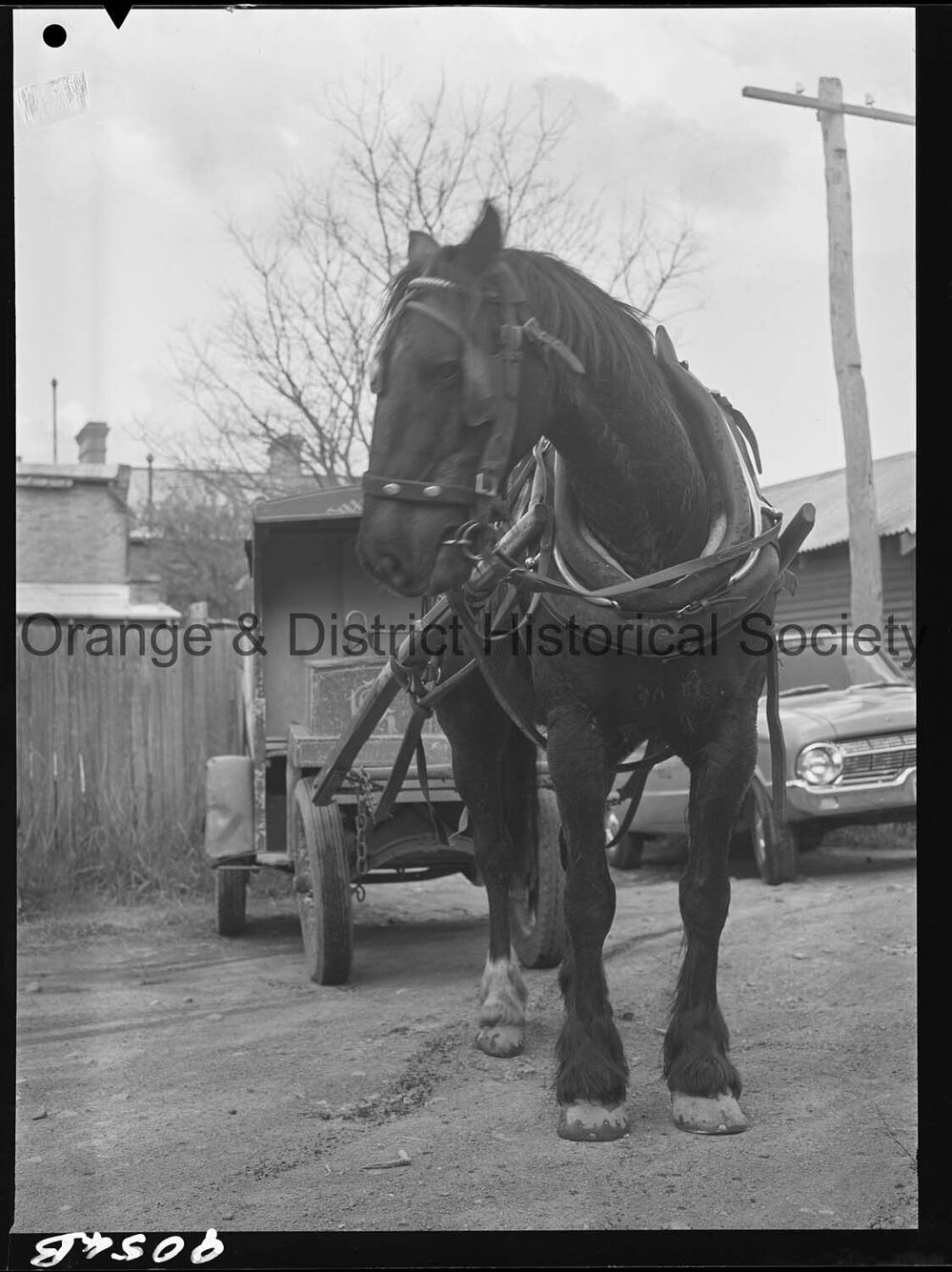 Horse and cart deliveries