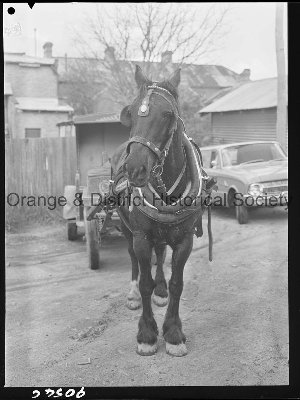 Horse and cart deliveries