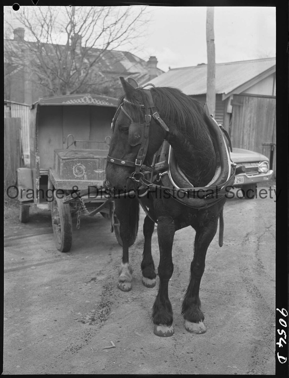 Horse and cart deliveries