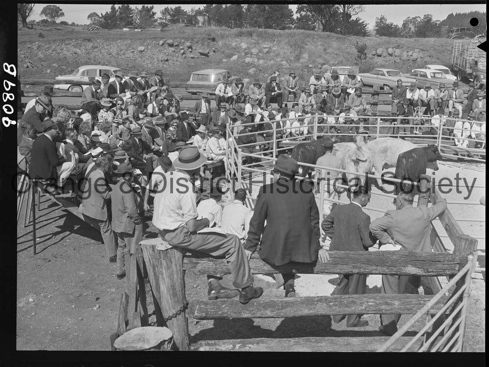 Commercial breeders sale