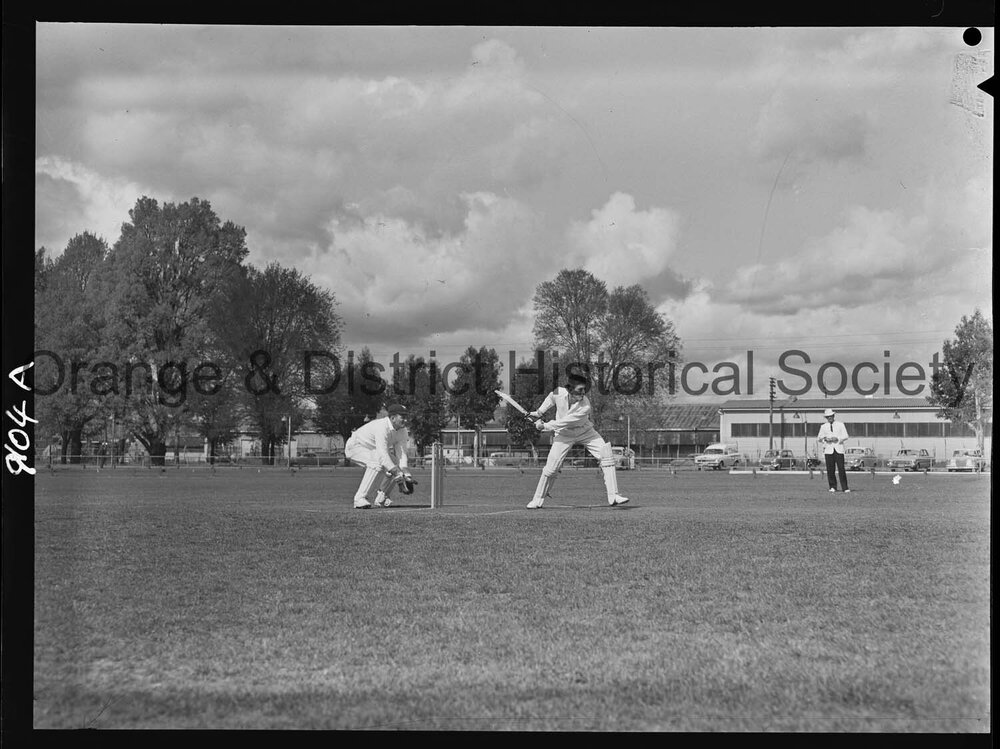 Cricket