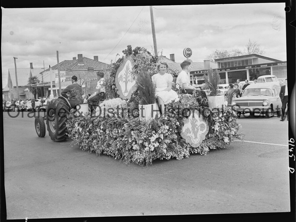 Cherry Blossom procession