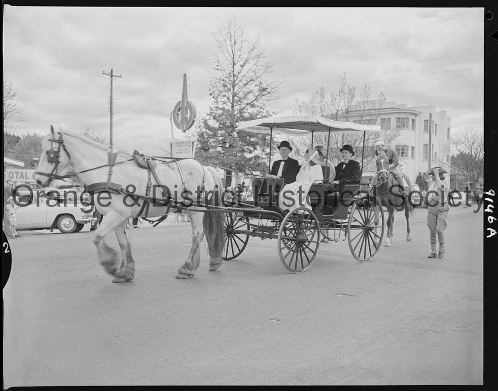 Cherry Blossom procession