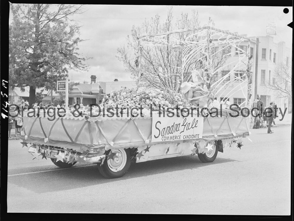 Cherry Blossom procession