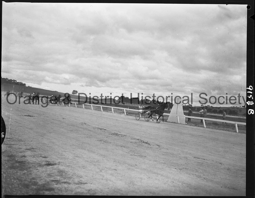 Cherry Blossom Handicap