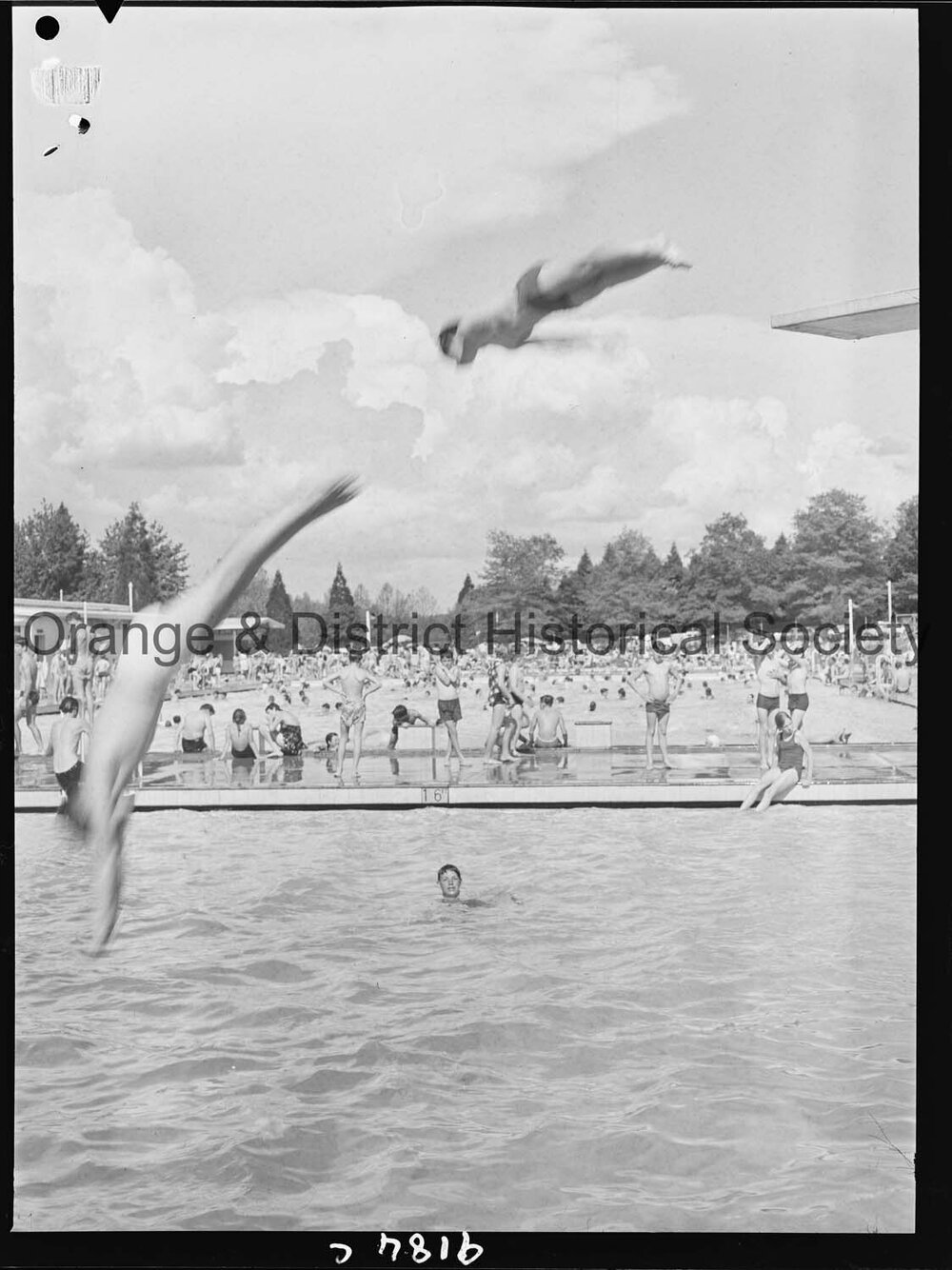 Swimmers at Olympic Pool
