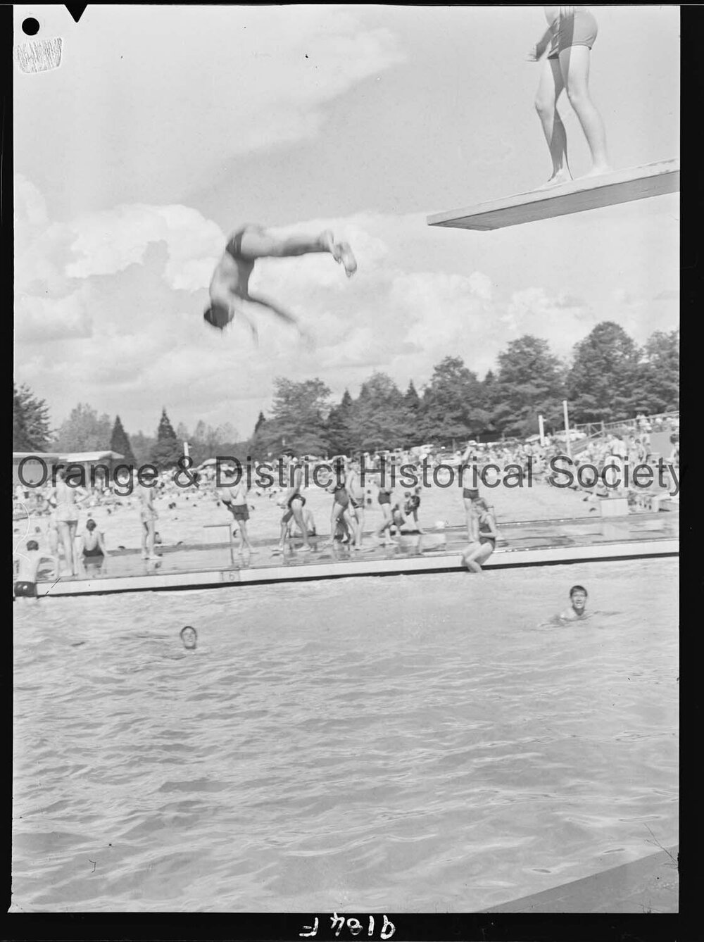 Swimmers at Olympic Pool