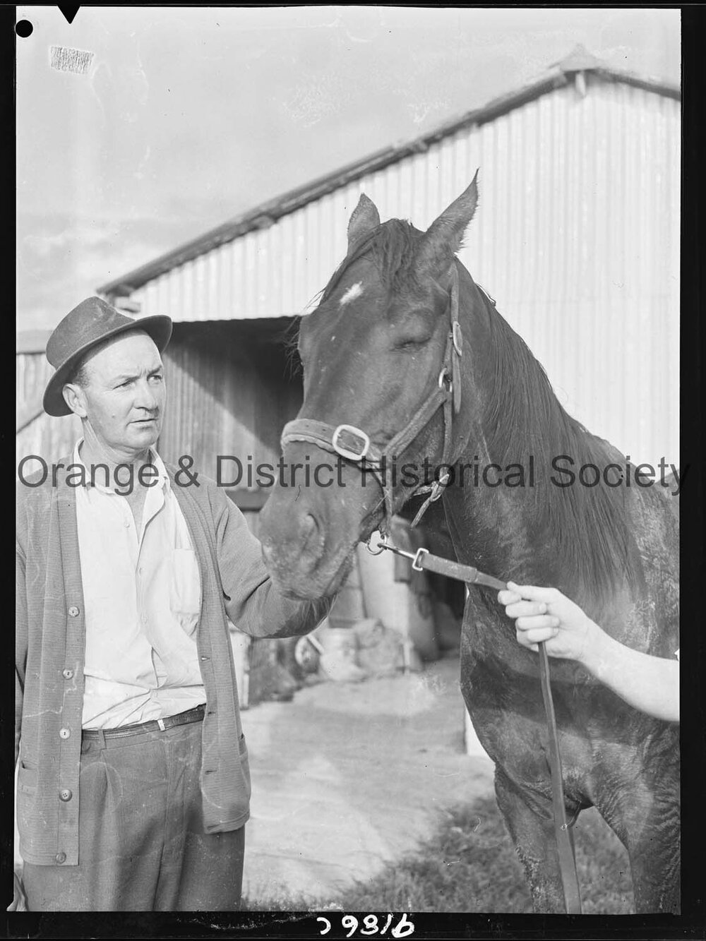 Racehorse Dunedoo