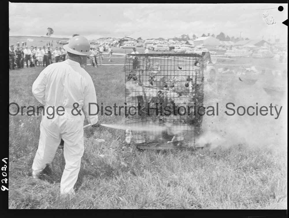 Orange National Field Days