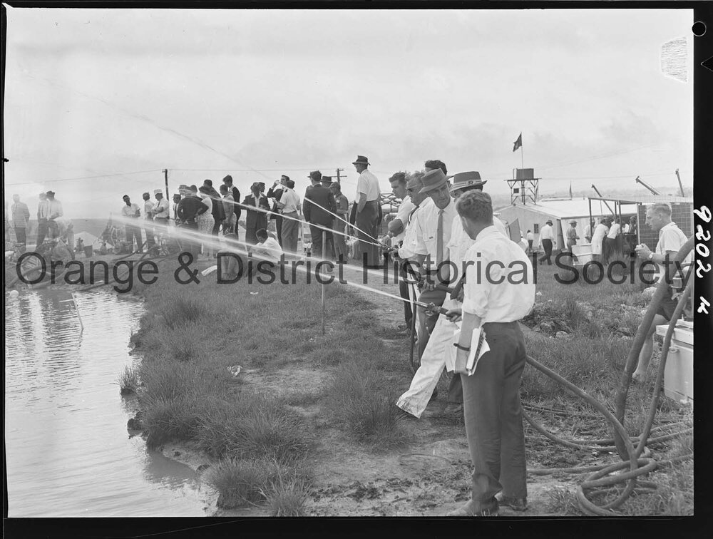 Orange National Field Days