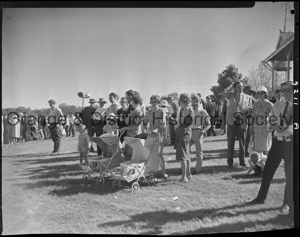 Horse races
