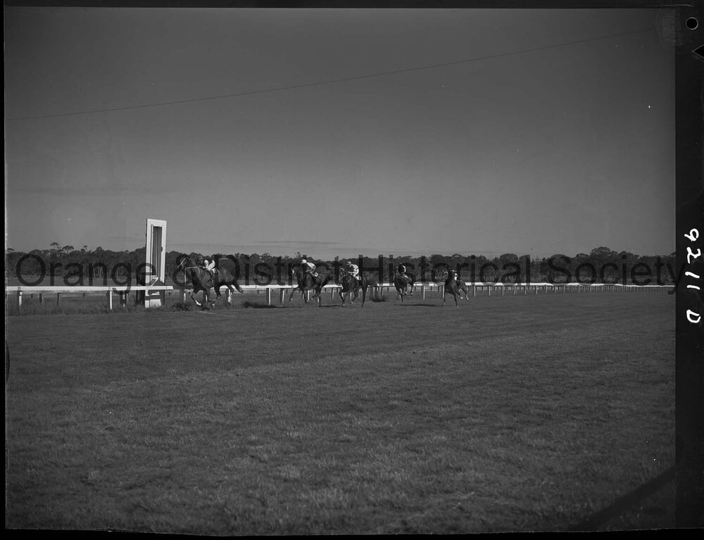 Horse races