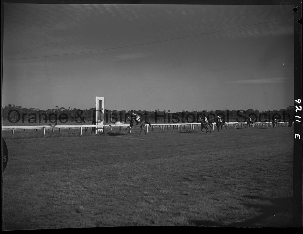 Horse races