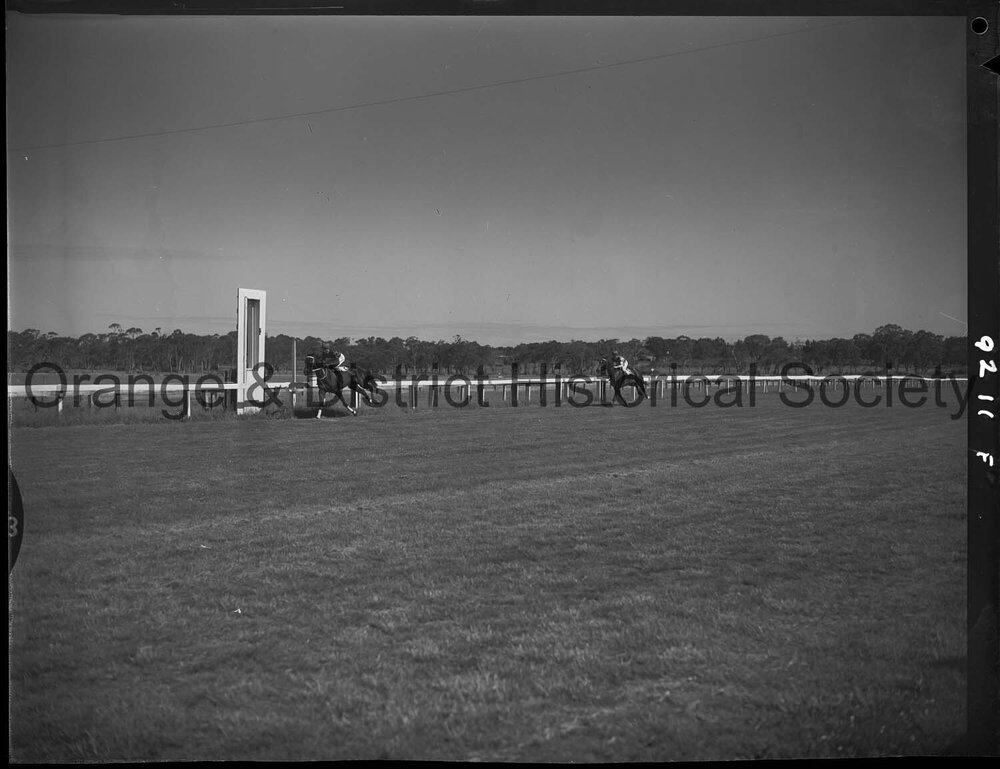Horse races