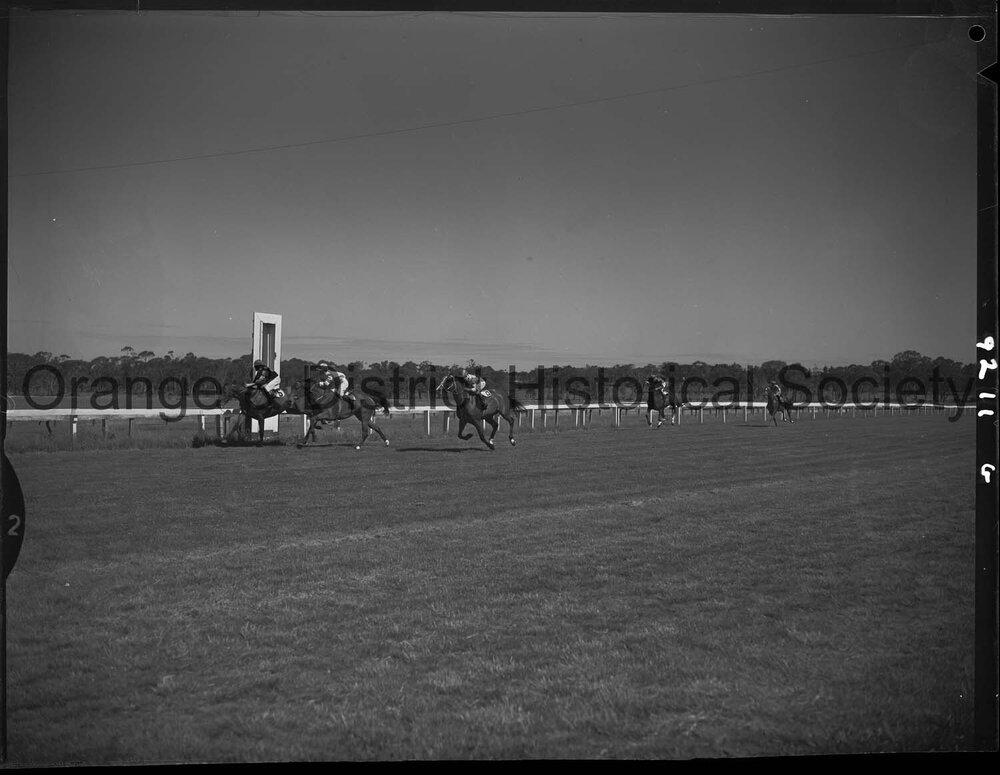Horse races